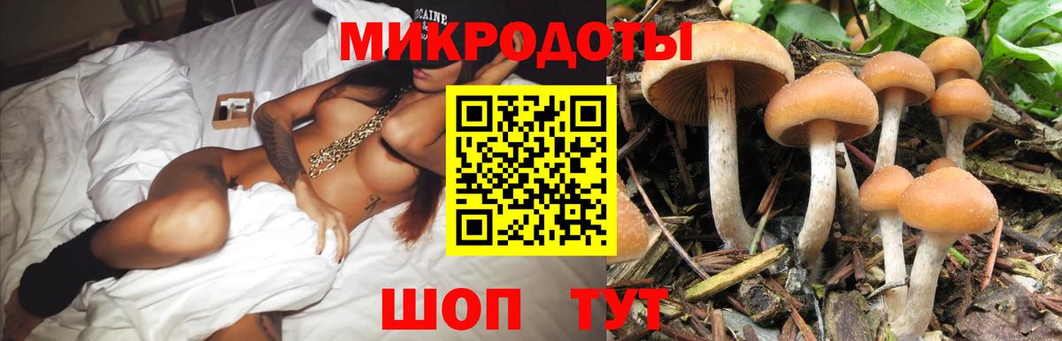 Псилоцибиновые грибы ЛСД  Вход с VPN  цена   Валуйки 